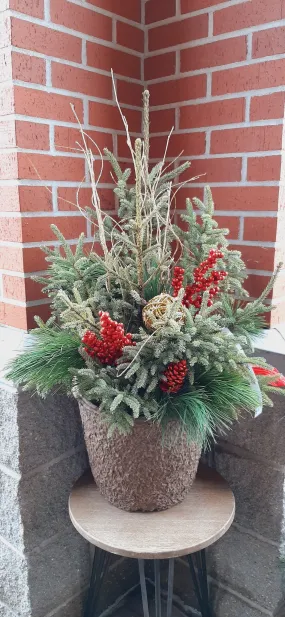 12" spruce top pot - christmas cheer