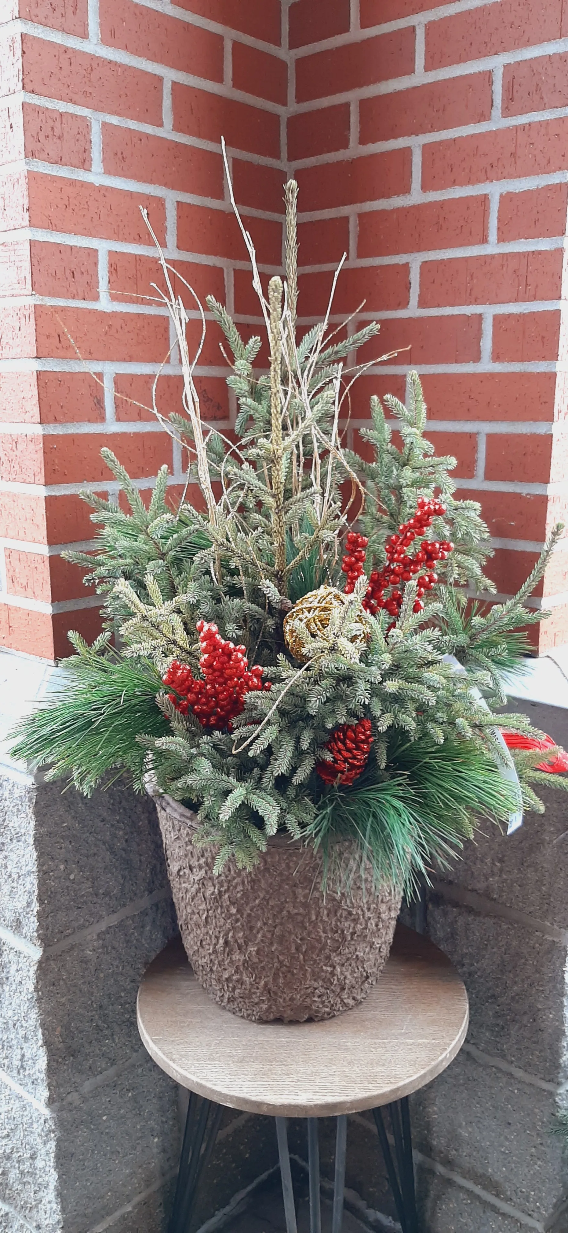 12" spruce top pot - christmas cheer