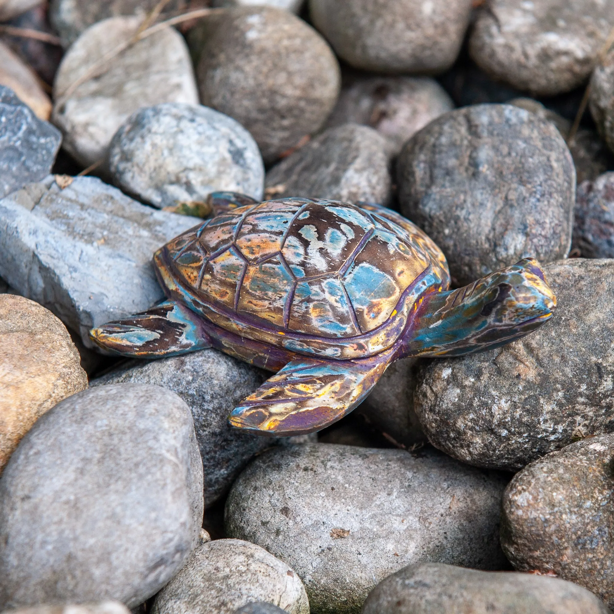 Driftwood Turtle