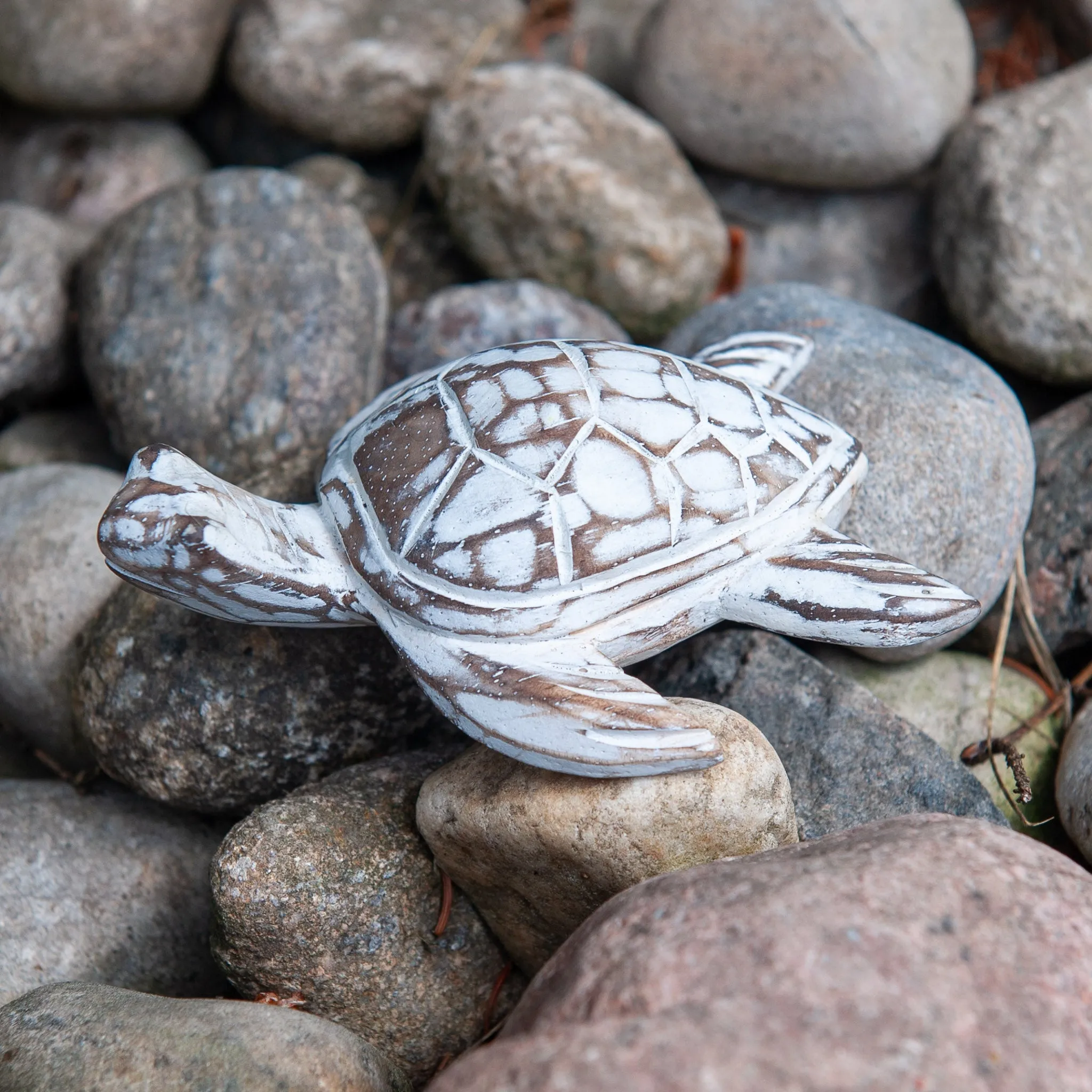 Driftwood Turtle