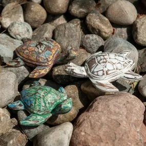 Driftwood Turtle