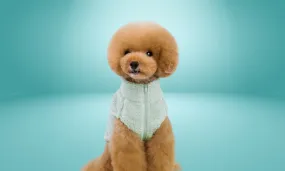 Rex - Nuzzle Dog Jacket
